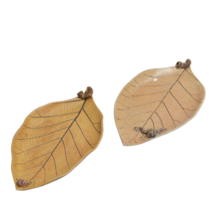 Piring Daun Jati
